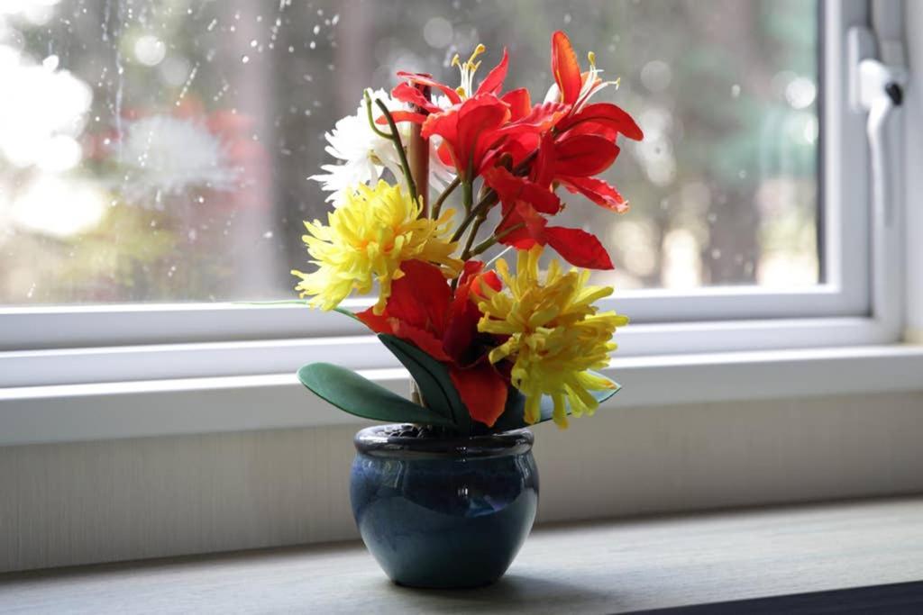 Edinburgh - Seton Sands-Cameo Caravan-Pet Friendly Экстерьер фото